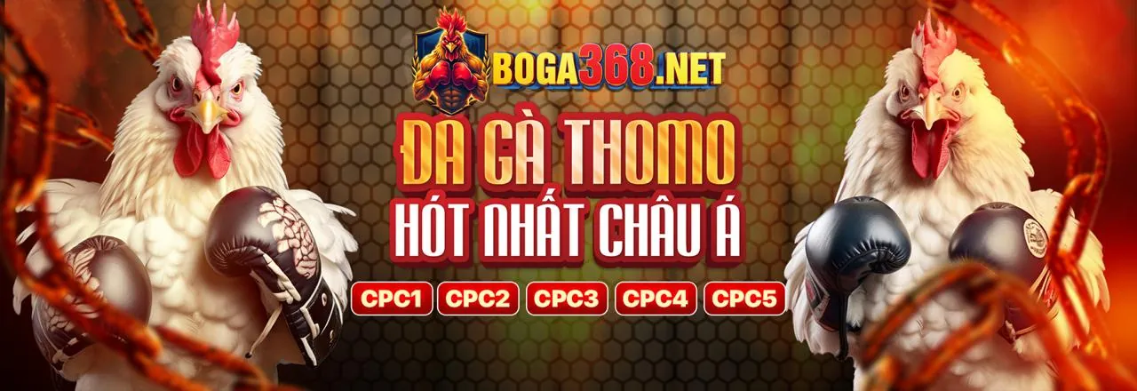 Đá Gà Trực Tuyến bbet đăng nhập